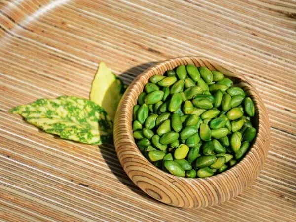 راهنمای خرید مغز پسته کال + قیمت عالی