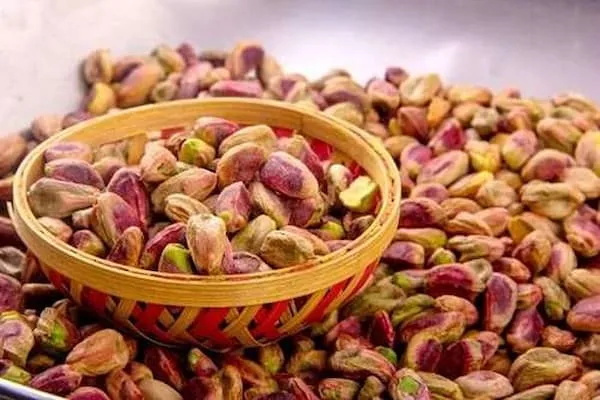 معرفی مغز پسته گندمی + بهترین قیمت خرید