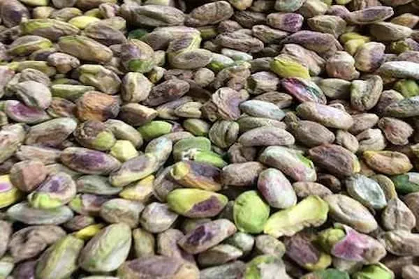 خرید مغزپسته کله قوچی + بهترین قیمت