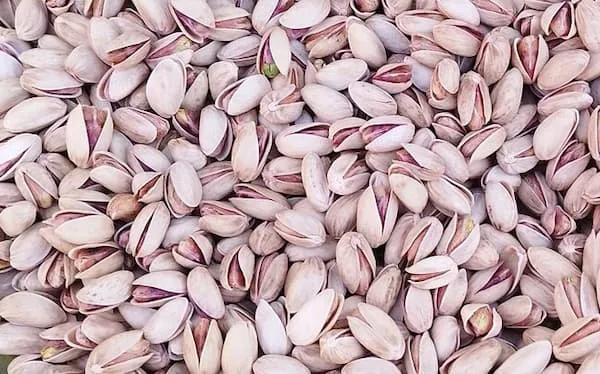 خرید انواع مغز پسته خنجری + قیمت