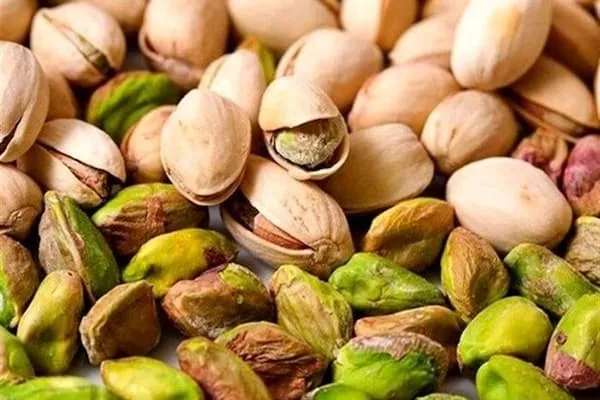 خرید و قیمت روز پسته صادراتی کاشمر