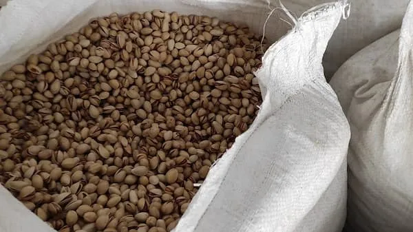 خرید پسته خراسان درجه یک با قیمت استثنایی