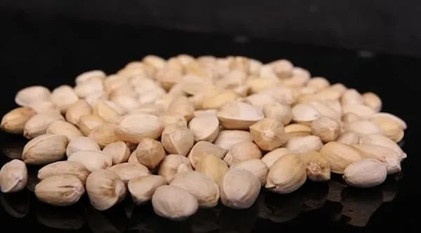 راهنمای خرید شناخت پسته آبخندان + قیمت عالی