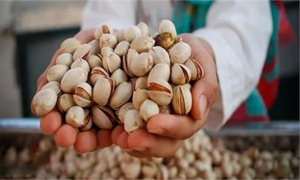 خرید و قیمت روز پسته صادراتی چین