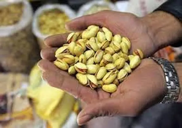 خرید و قیمت روز پسته افغانستان بادغیس