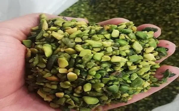 بهترین مغز پسته دندانه + قیمت خرید عالی