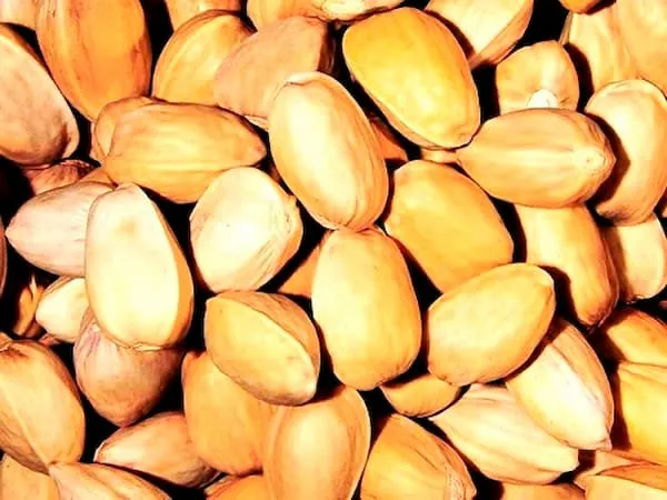 راهنمای خرید شناخت پسته آبخندان + قیمت عالی