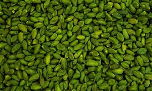 خرید مغز پسته سبز + قیمت عالی با کیفیت تضمینی