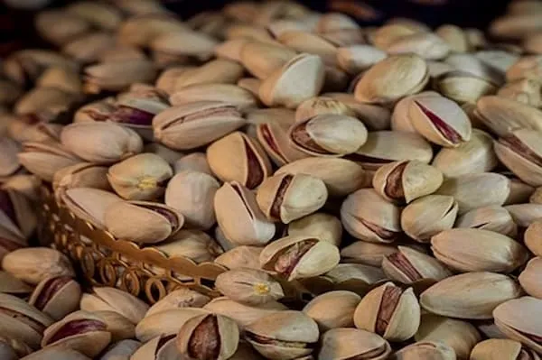 خرید پسته ممتاز زرندی خام با قیمت استثنایی