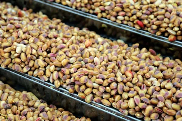 چه پسته ای برای صادرات مناسب است + خرید