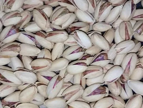 خرید و قیمت روز پسته بادامی سوریه