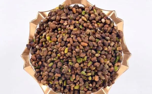 خرید مغز پسته کوهی + قیمت عالی با کیفیت تضمینی